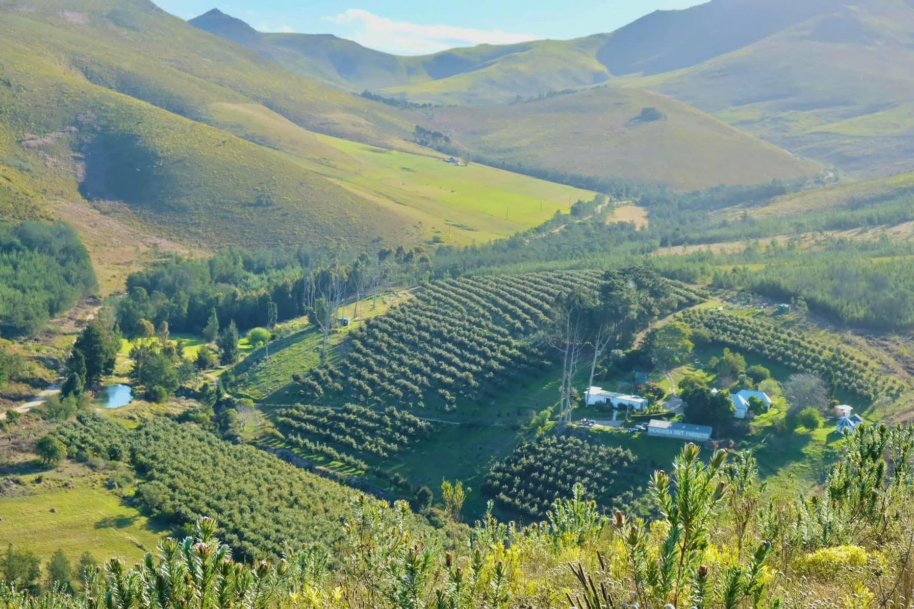 full-farm-view