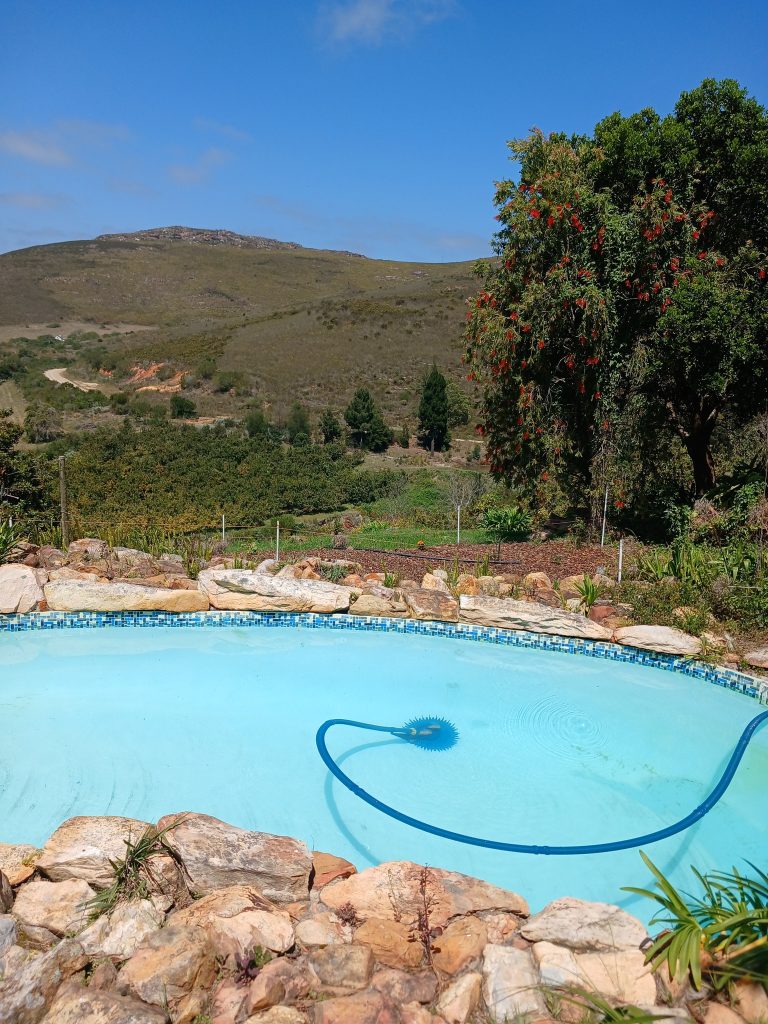 swimming-pool