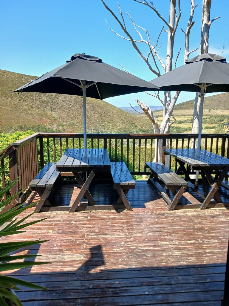 the-nut-house-pub-deck