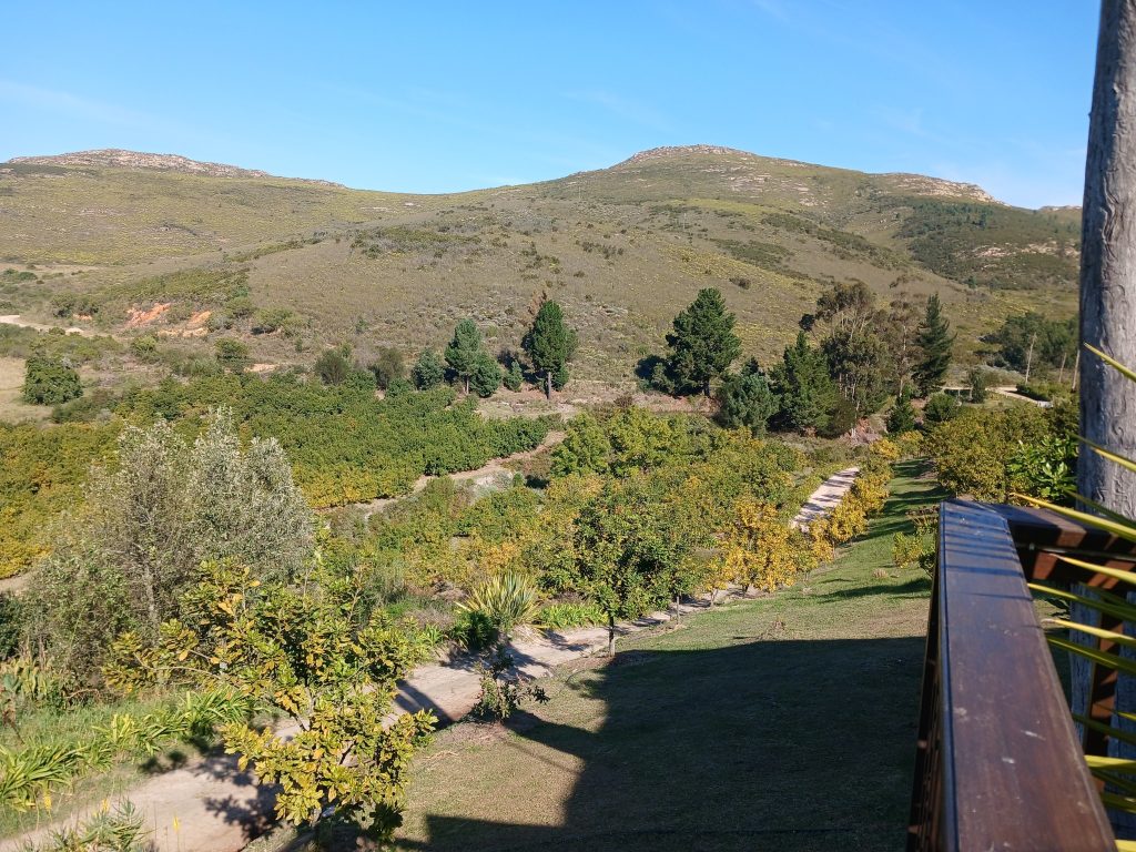 view-from-the-bar-deck
